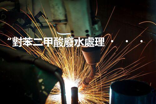 “對苯二甲酸廢水處理，綠色創(chuàng)新引領環(huán)保新篇章”